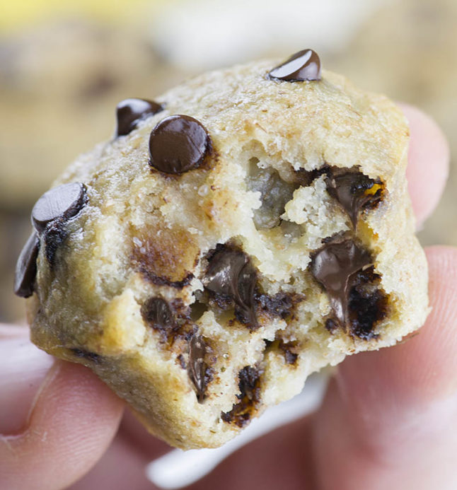 a Chocolate-Chip Muffins - Double Dose of Fitness | adoubledose.com