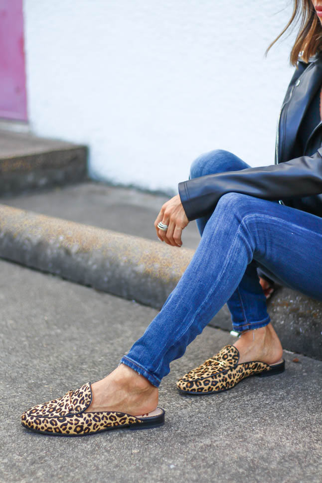 lifestyle and fashion blogger, alexis belbel, of A Double Dose, wearing stretchy jeans for petites from express with a faux leather moto jacket from Express and some leopard loafer mules from shoes.com