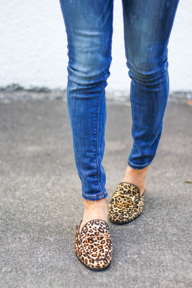 lifestyle and fashion blogger, alexis belbel, of A Double Dose, wearing stretchy jeans for petites from express with a faux leather moto jacket from Express and some sam edelman leopard loafer mules from shoes.com